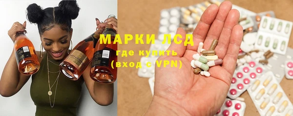 гашик Бородино