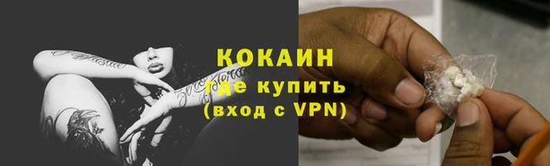 гашик Бородино