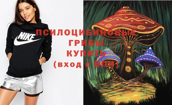 не бодяженный Бронницы