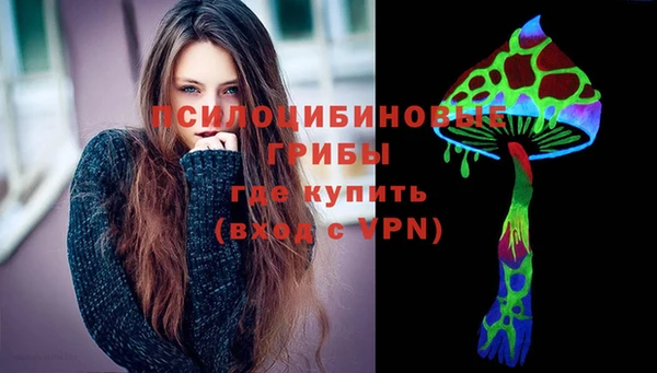 гашик Бородино