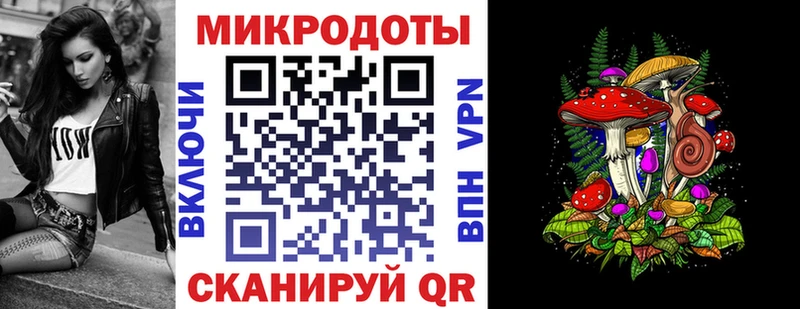 как найти   Ростов  Галлюциногенные грибы Magic Shrooms 